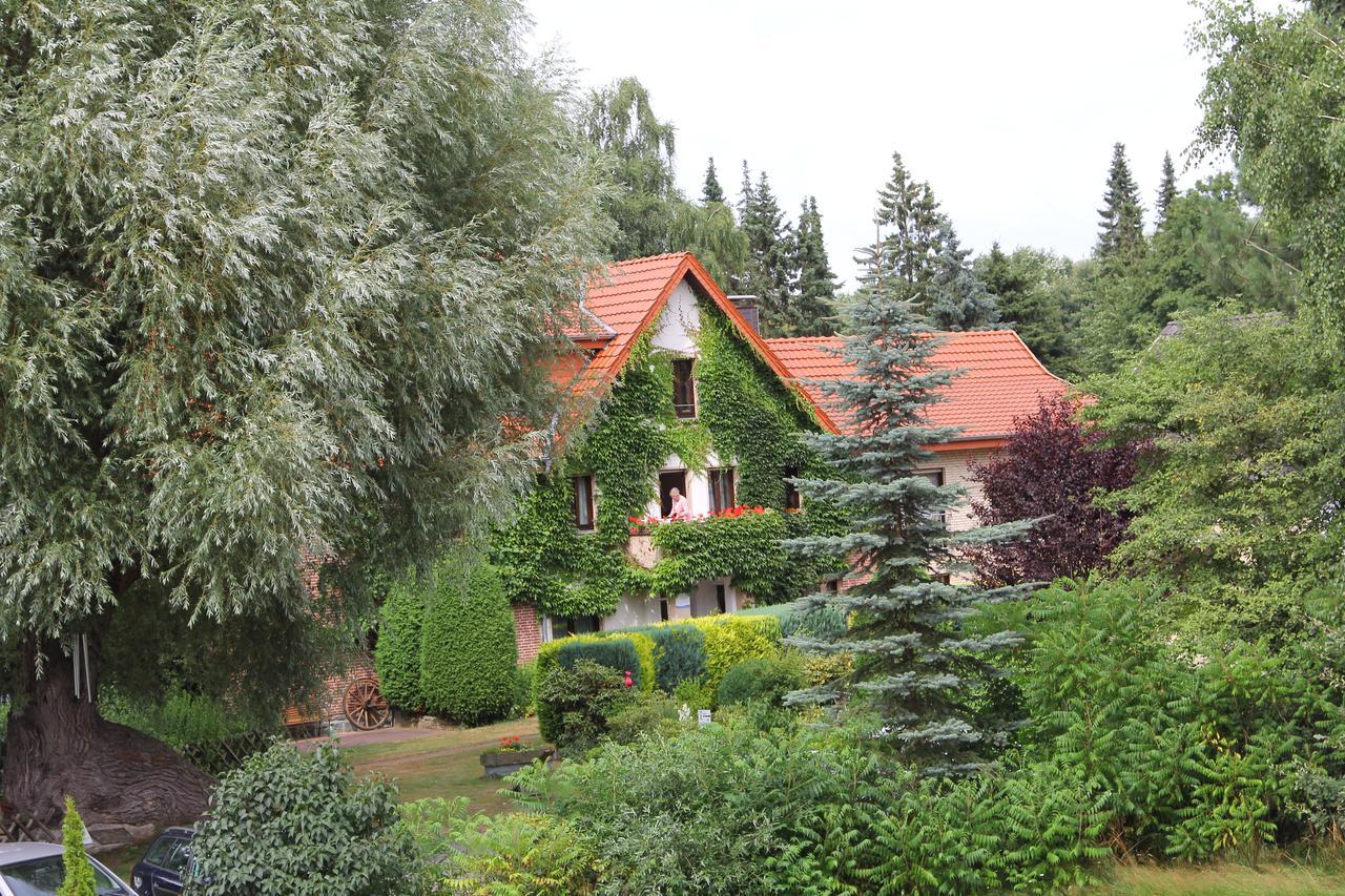 Hotel-Pension Haus Holtdirk Λίπσταντ Δωμάτιο φωτογραφία